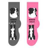 Foozy's Unisex Crew Socks Canine Collection (Border Collie)