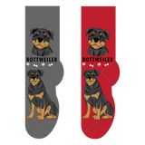 Foozy's Unisex Crew Socks Canine Collection (Rottweiler)