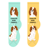 Foozy's Unisex Crew Socks Canine Collection (Cavalier King Charles)