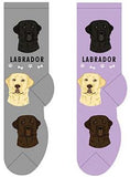 Foozy's Socks Women's Collection